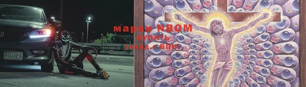гидра Медвежьегорск