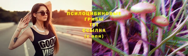 мескалин Няндома