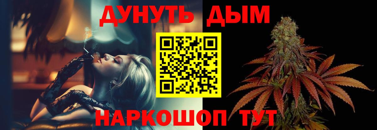 Каннабис гибрид Корсаков